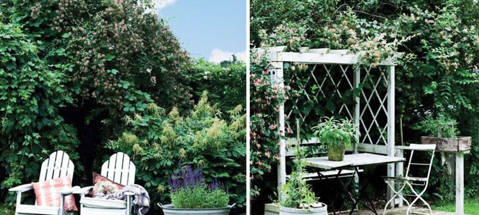 Sommerinspiration til haven