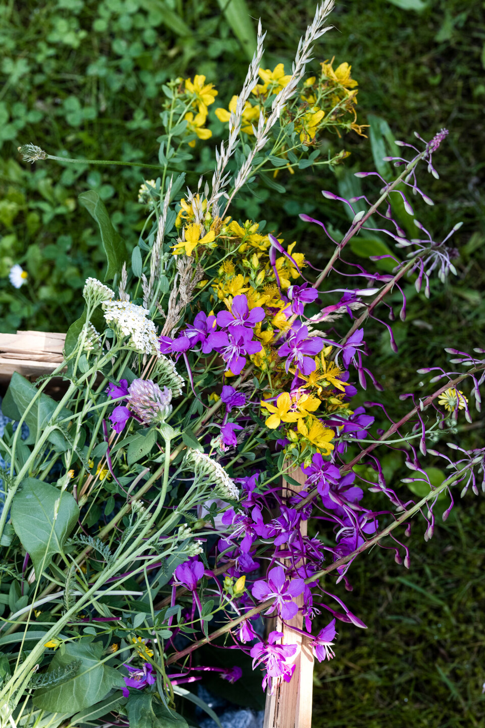 blomster.jpg