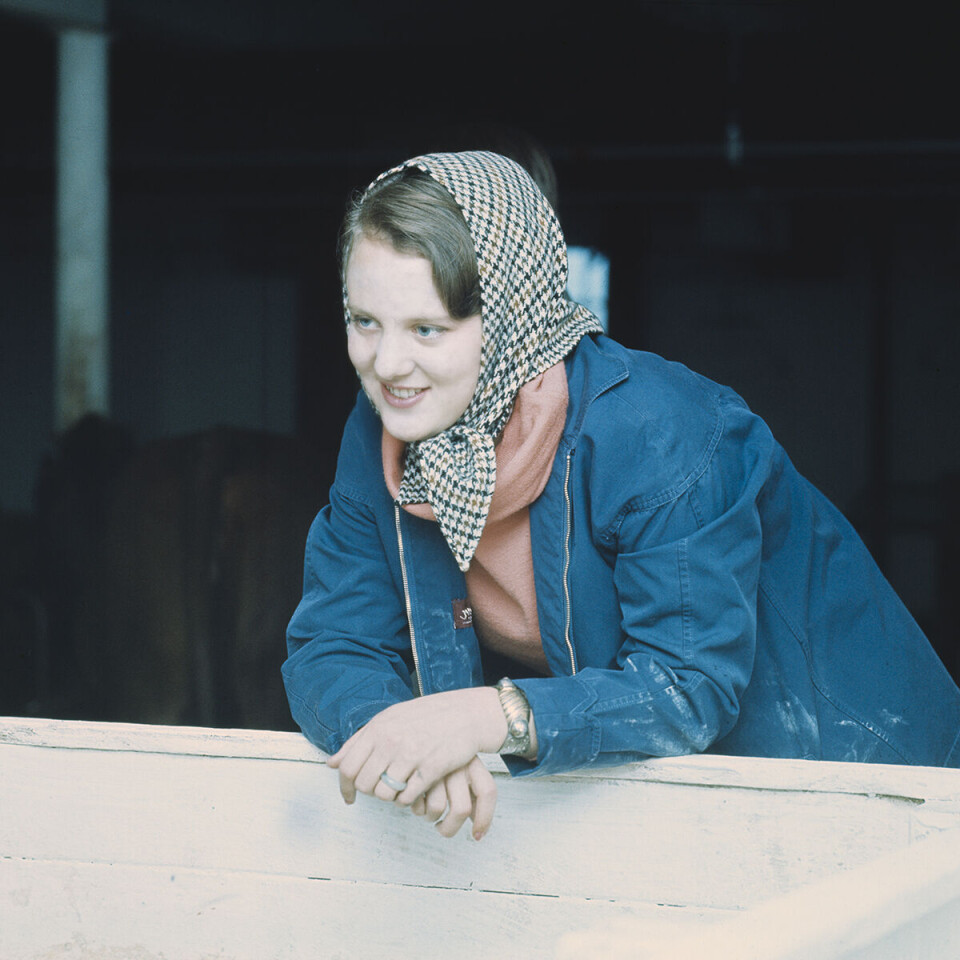 Dronning Margrethe 1.jpg