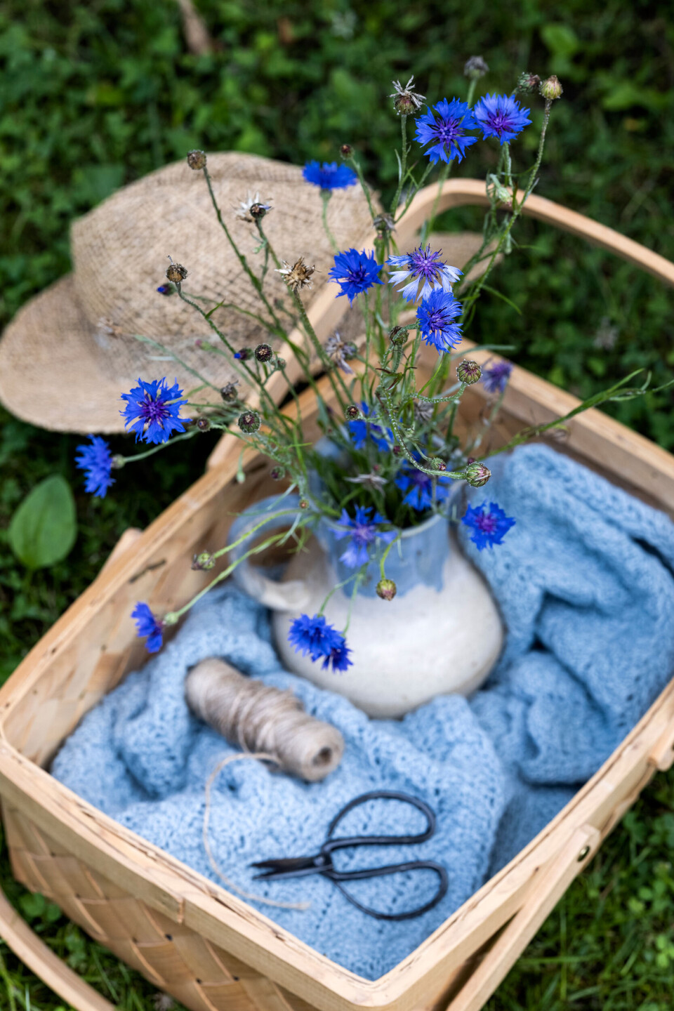 blaa-blomster.jpg