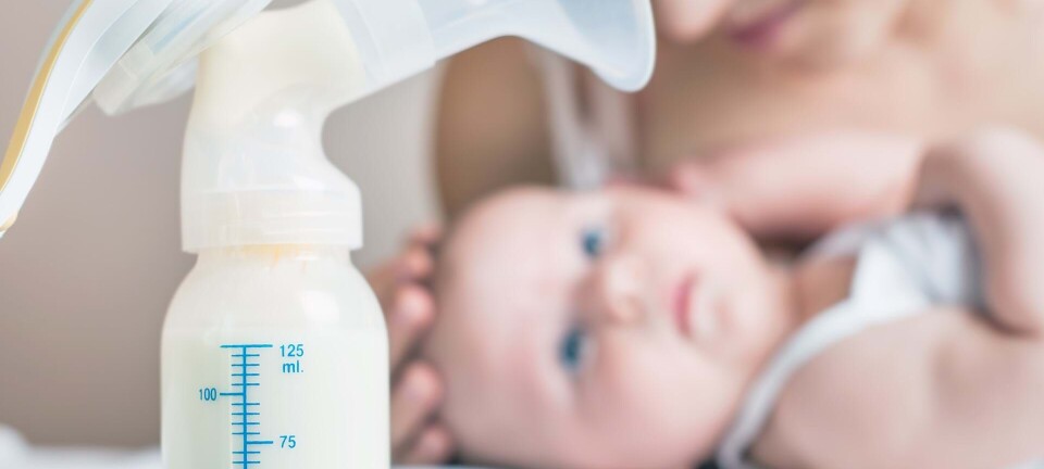 Modermælk: Sådan pumper, opbevarer og varmer du brystmælk