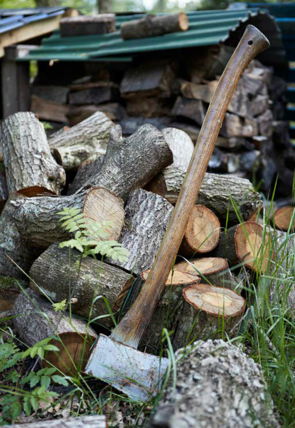 Der skal hugges masser af brænde til den lille brændeovn, som hjælper med at varme skurvognen op i de kolde måneder