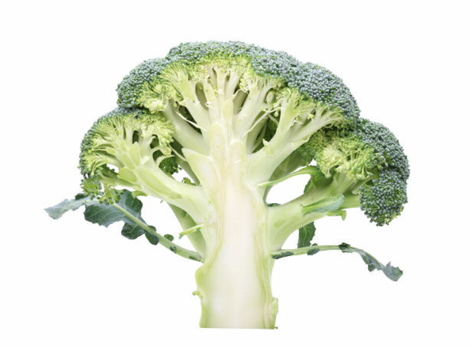 brocolli.jpg