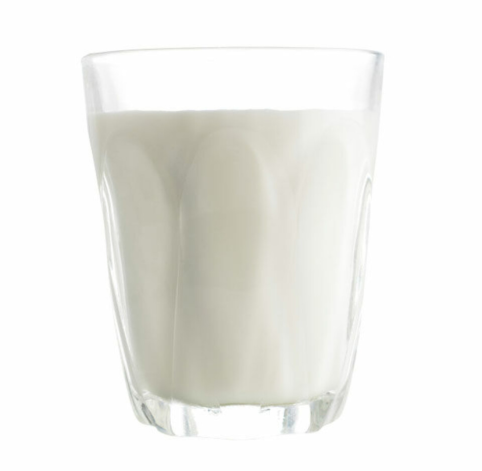 mælk.jpg
