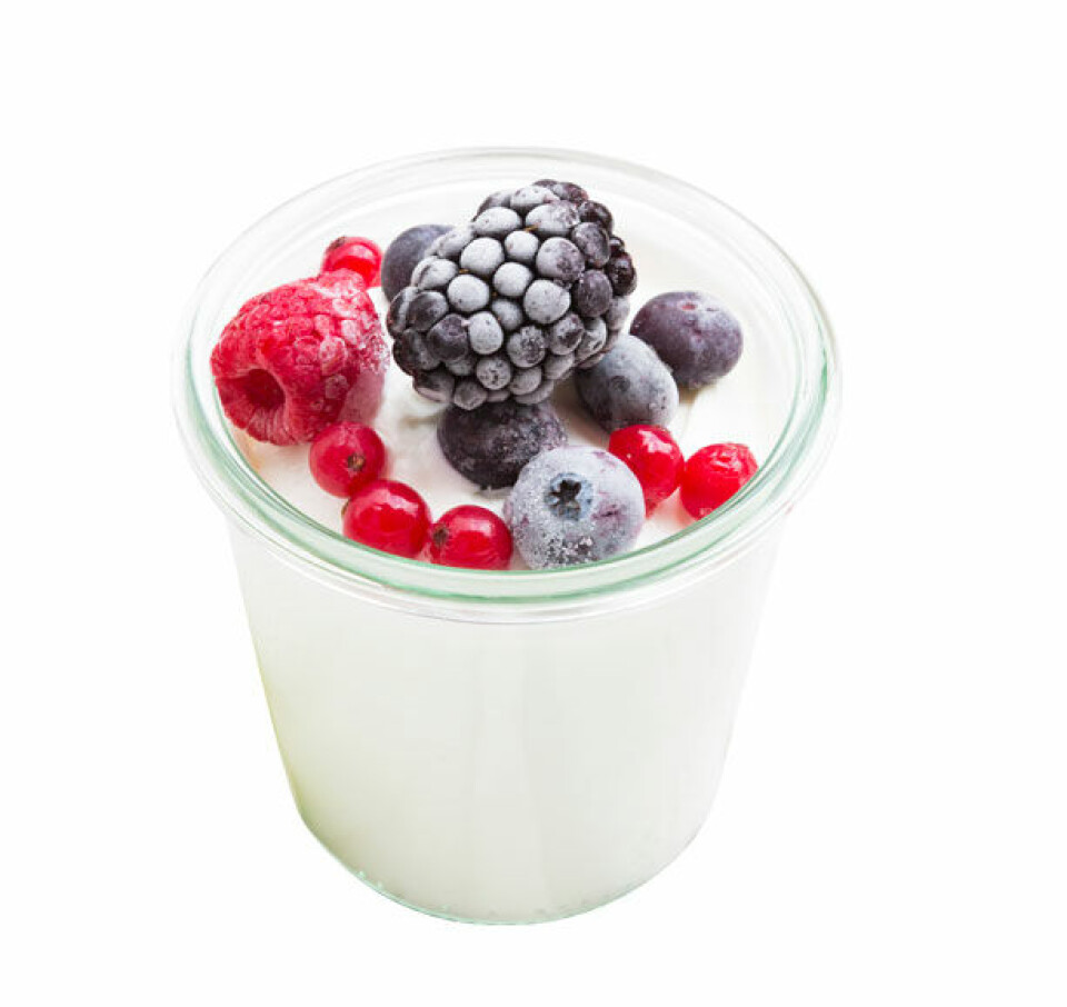 yogurt.jpg