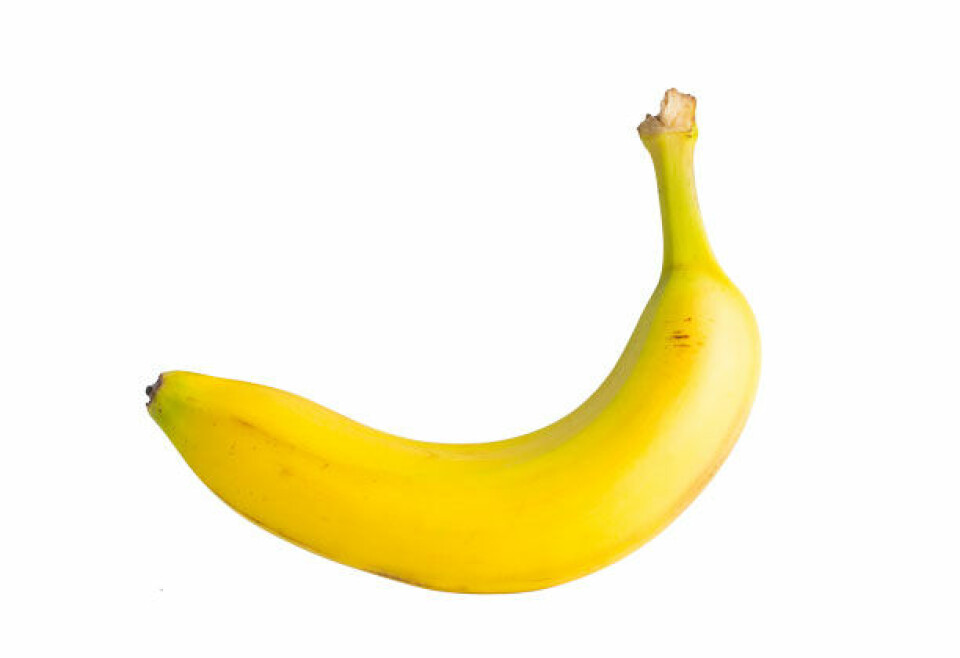 banan.jpg