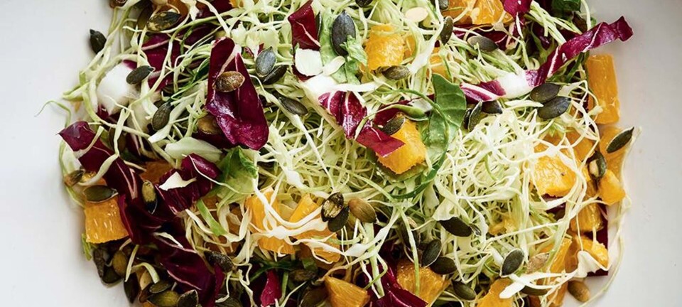 Frisk salat med spidskål og appelsin