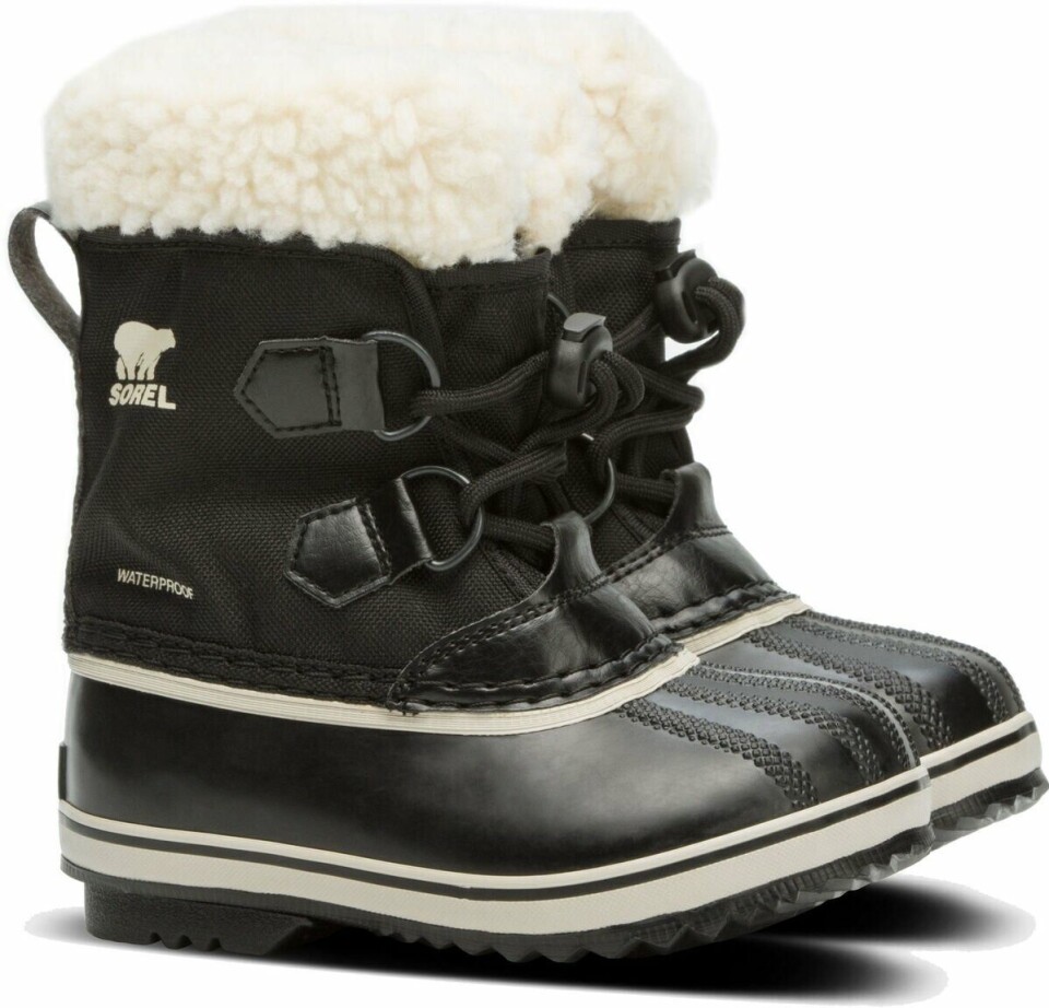 Sorel.jpeg
