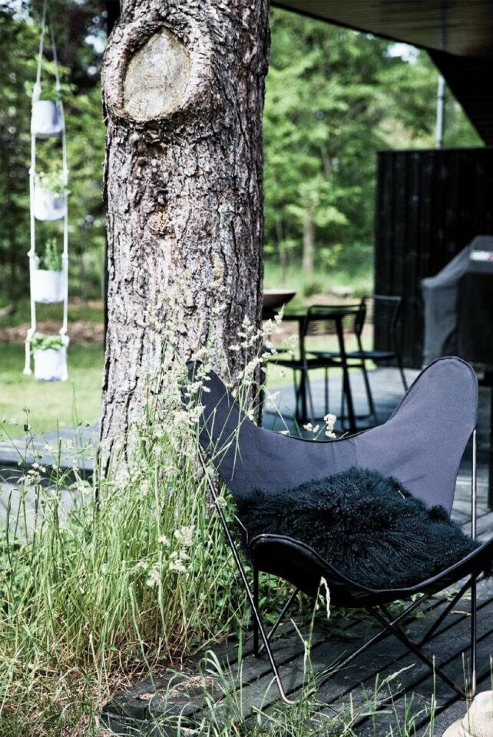'Jeg er vild med den rå natur heroppe, vinden, der suser i de høje fyrretræer, havets brusen og stilheden'