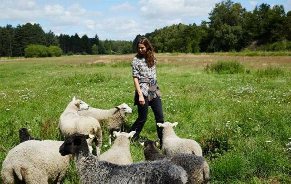 Amalie tog orlov fra sit sygeplejestudie for at gøre noget helt vildt