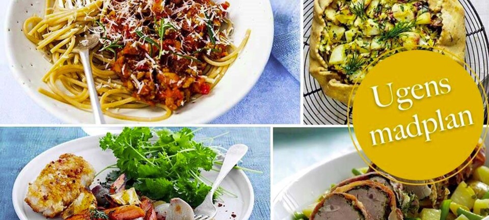 Lækker citruskylling, fisk i sprød indpakning & galette med kylling: Her er ugens madplan til dig