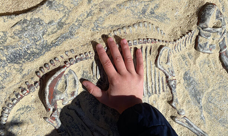 fossil - ferie med børn