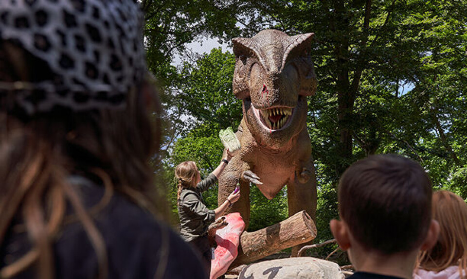 Skånes dyrepark - ferie med børn