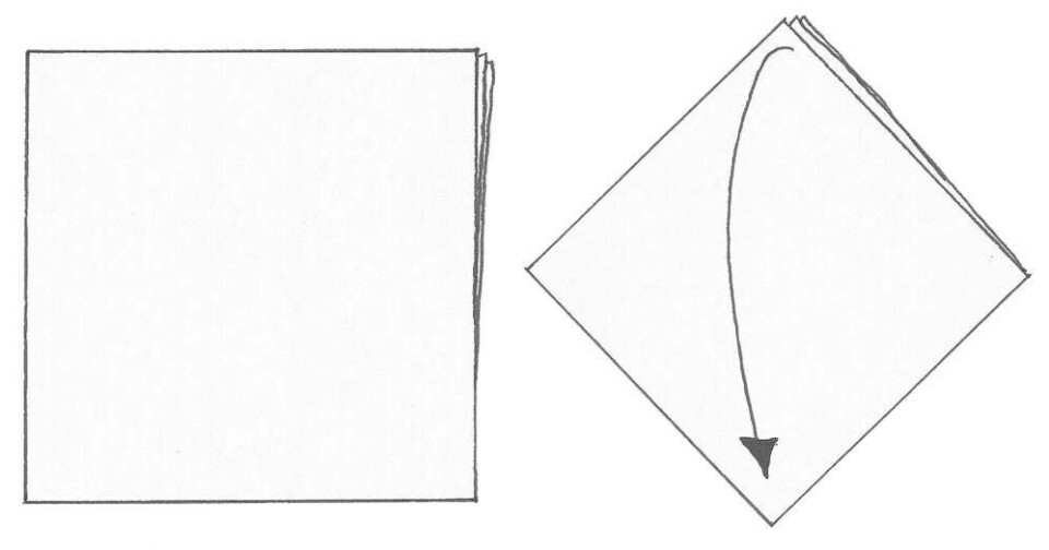 Servietfoldning: Sådan folder du en rose, åkande, butterfly, clutch og sommerfugl