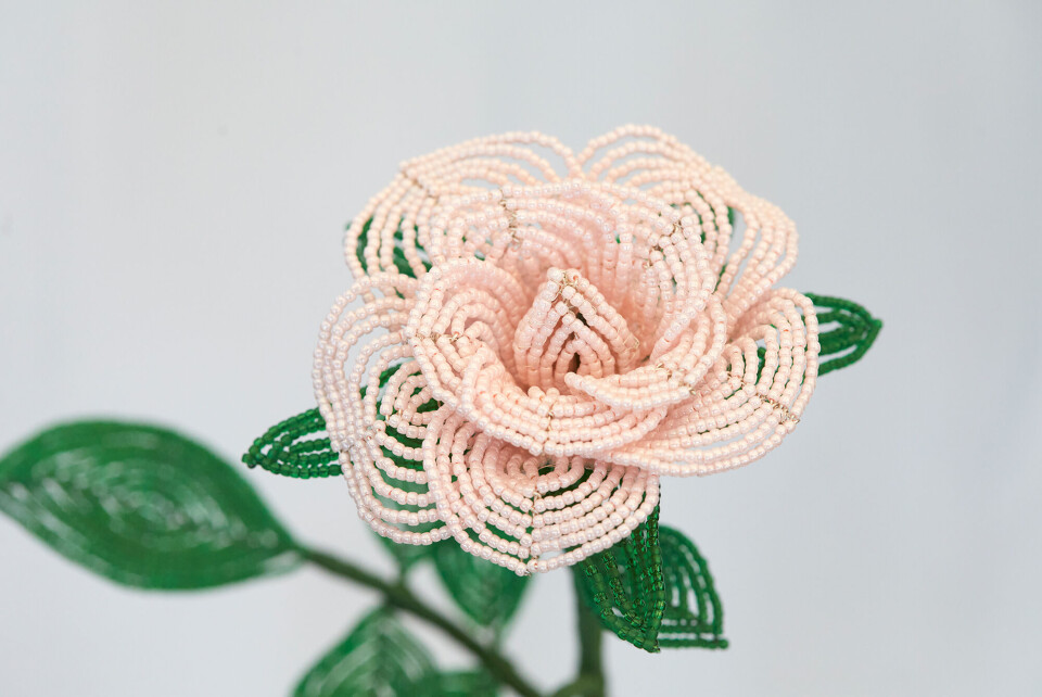 perleblomster-Lyseroed-rose.jpg