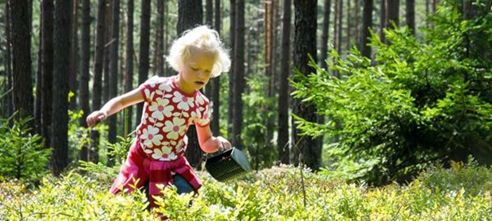 Guide: Tag på eventyr i Sverige