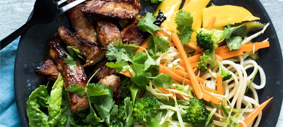 Nem nudelsalat med teriyakistegt kød