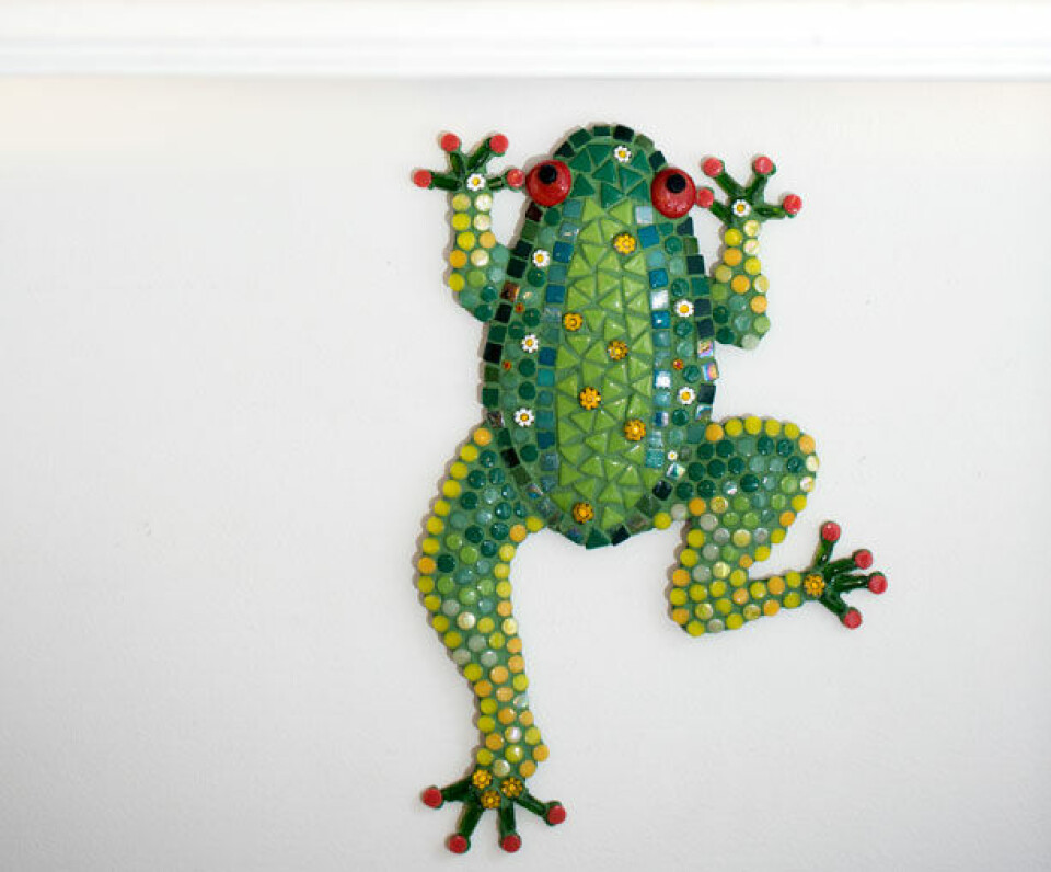 Frø i mosaik