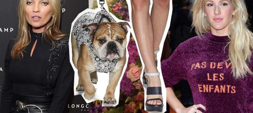 Modeuge i London: Hunde på catwalken og Kate Moss