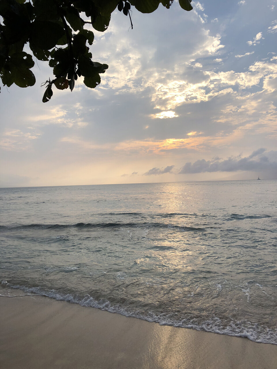 Maui