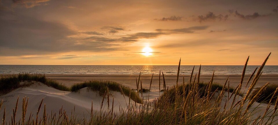 Besøg denne perle i det sydvestlige Danmark, der en oplevelse for alle sanserne