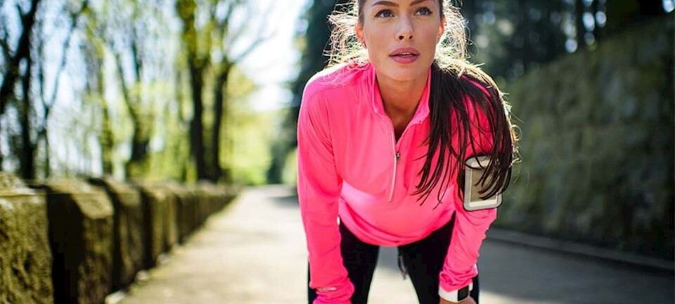 Hvad sker der i kroppen, når du får pulsen op?