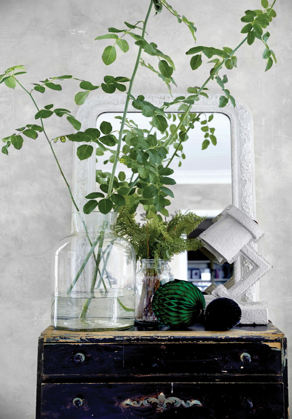 Groen_plante.jpg