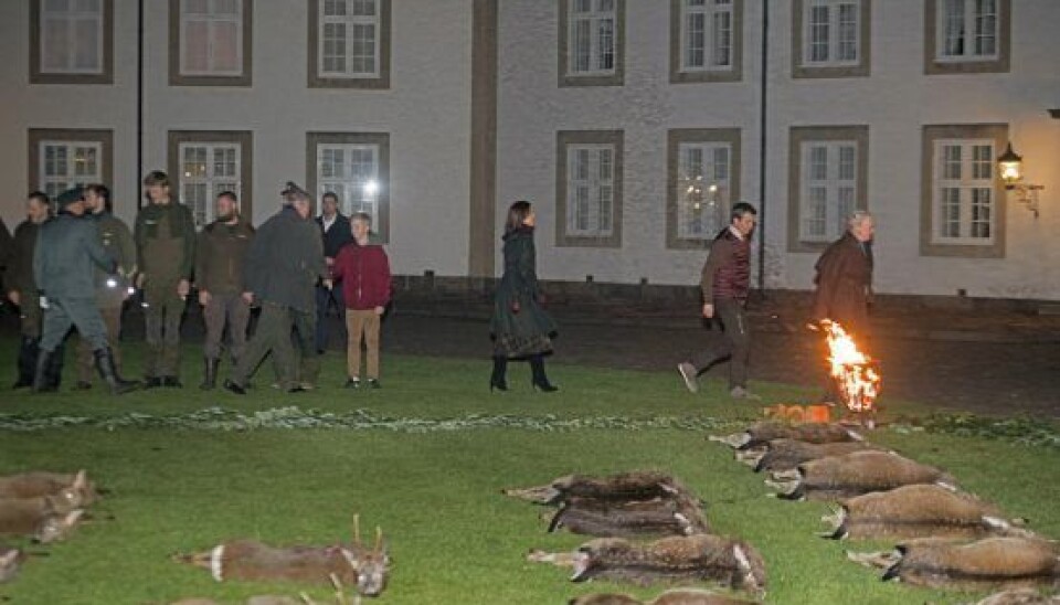 Der blev nedlagt to ræve, tolv dåvildt og ni råvildt under jagten. (Foto: Michael Stub)