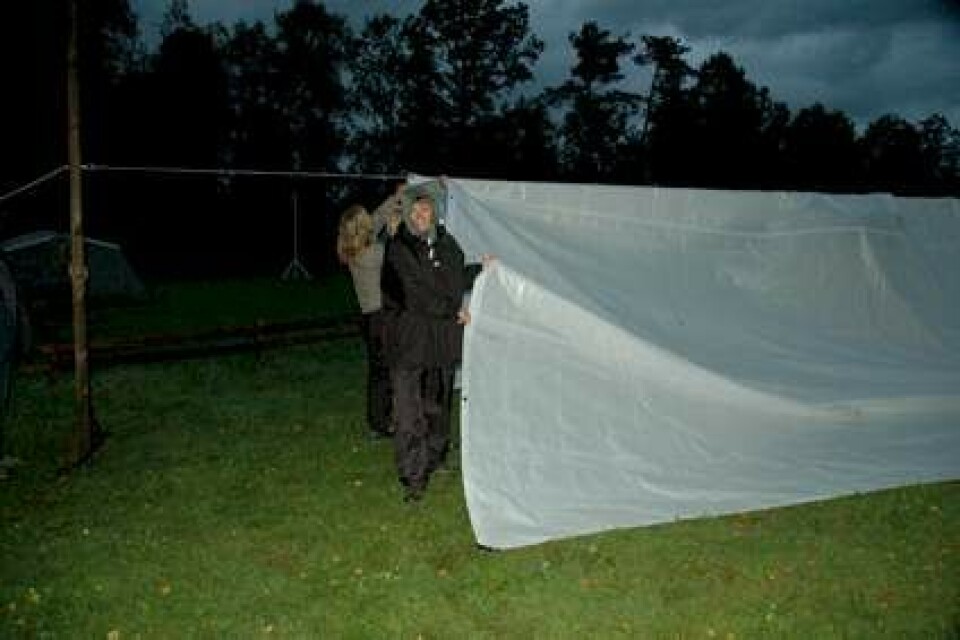 Få din drømmekrop på 6 uger - Marie-Louises dagbog