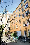 Louise og Rune Kappel bor nordisk, elegant og med masser af unika, som de selv har håndplukket
