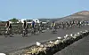 Reportage: Kom med på årets fit living camp på Club la Santa