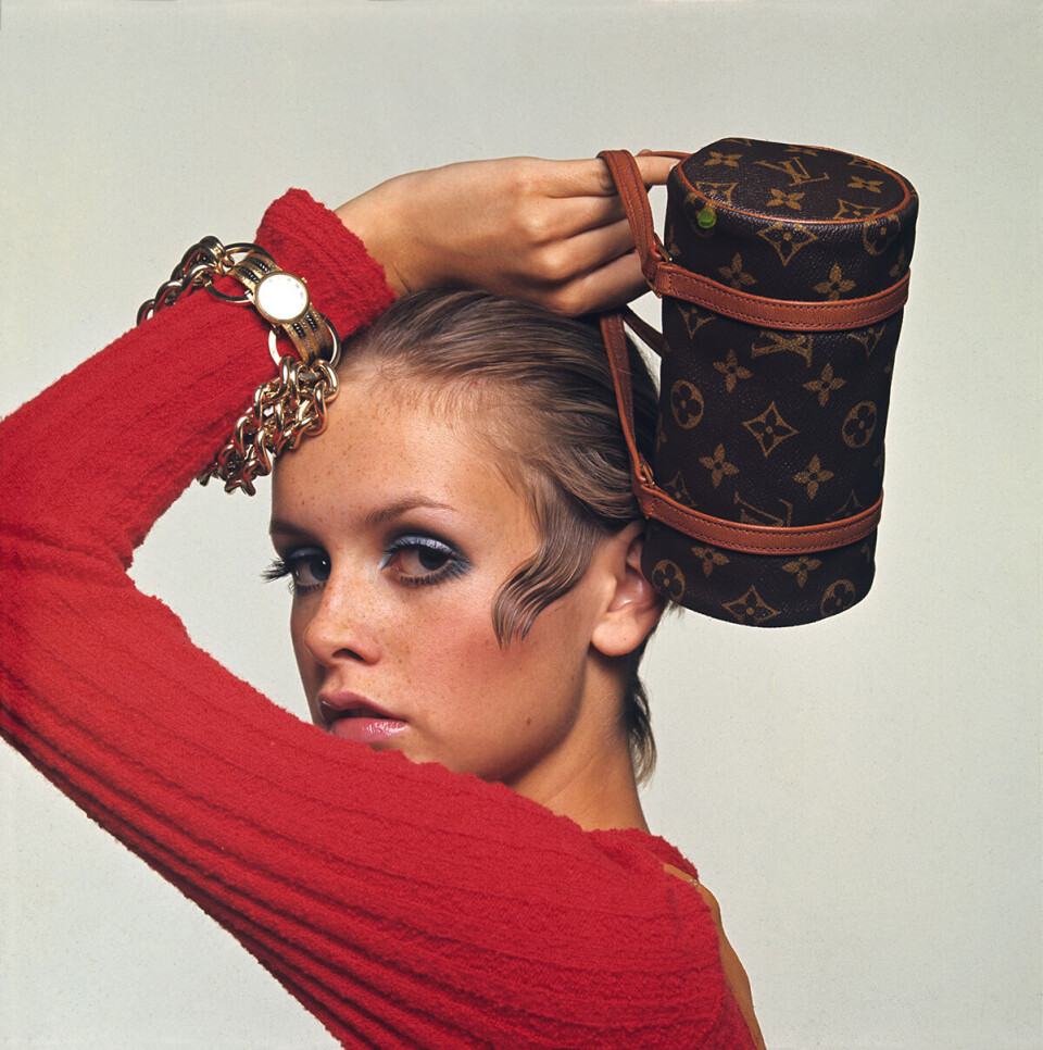 Twiggy.jpg