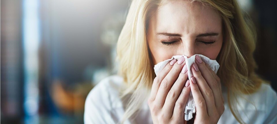 Astma, høfeber og madallergi: 7 myter om allergi