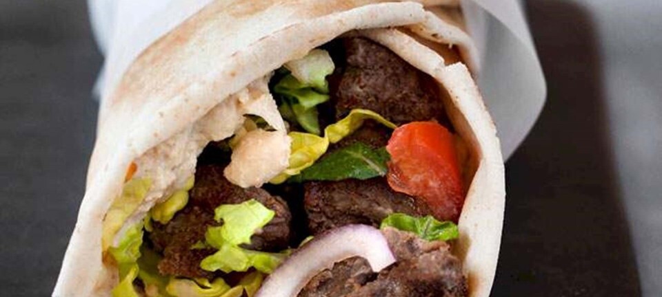 Shawarma i tyrkisk fladbrød med hummus