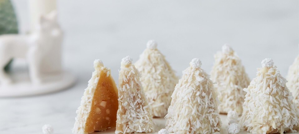Skøn konfekt: Marcipantræer med appelsinblomst, kokos og hvid chokolade