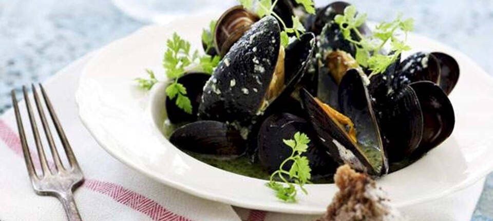 Blåmuslinger med persillepesto