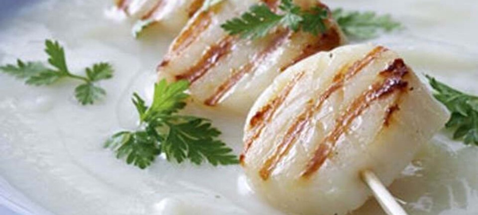 Cremet blomkålssuppe med kammuslinger