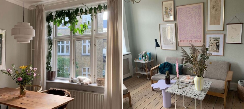 22-årige Olivia indretter sig med farver: ”Livet er for kort til hvide vægge”