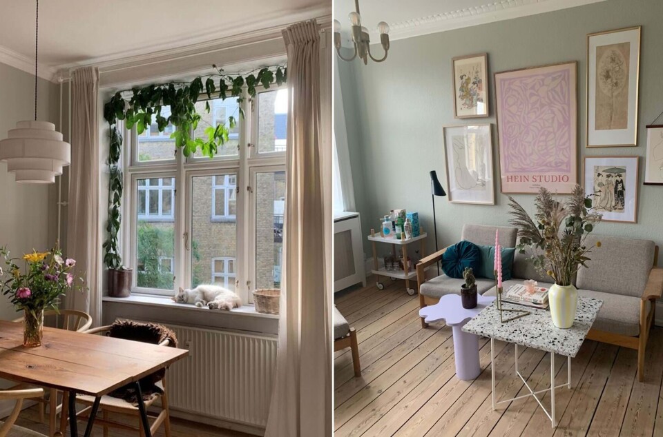 22-årige Olivia indretter sig med farver: ”Livet er for kort til hvide vægge”