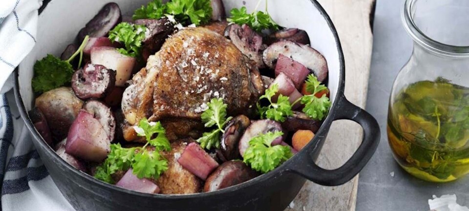 Klassisk fransk bistromad: Coq au vin