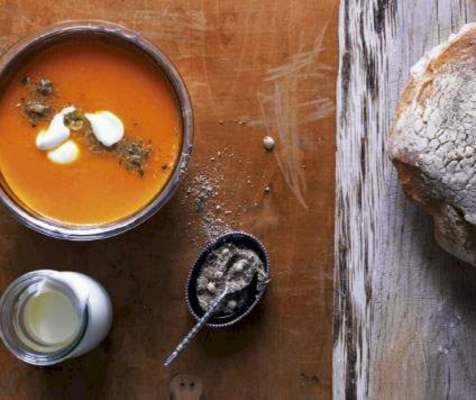 Gæstekokken Søren Ejlersen laver gulerodssuppe.