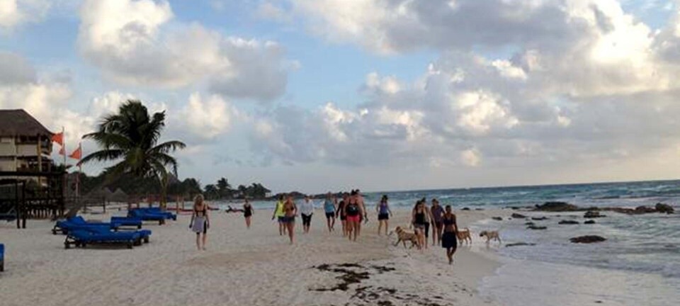 Tag på paradisferie for luksushippier i Mexico