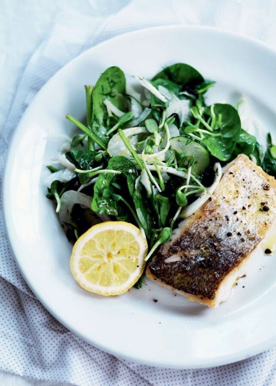 Skindstegt kulmule og fennikelsalat