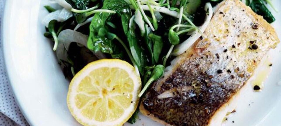 Skindstegt kulmule og fennikelsalat