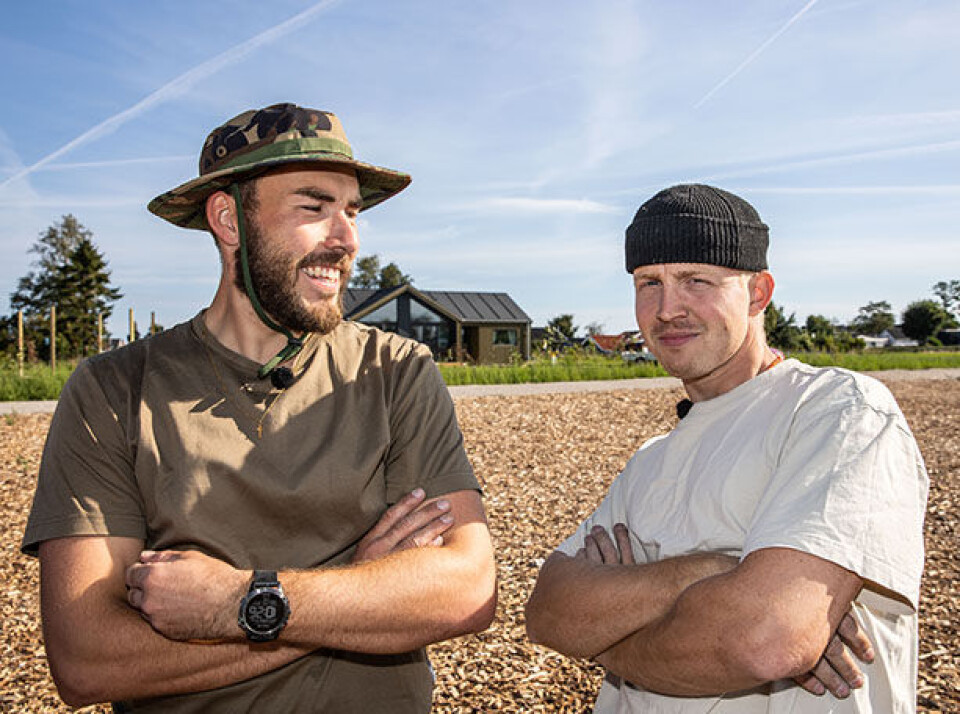 Sommerdrømme 2023 Steffen og Jeppe.jpg