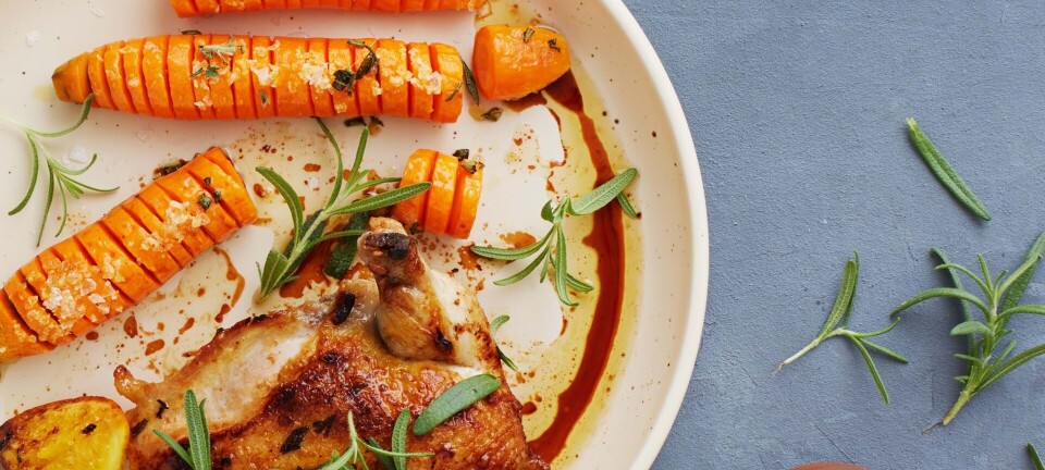 Sund lørdagskylling