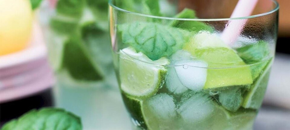 Klassisk mojito