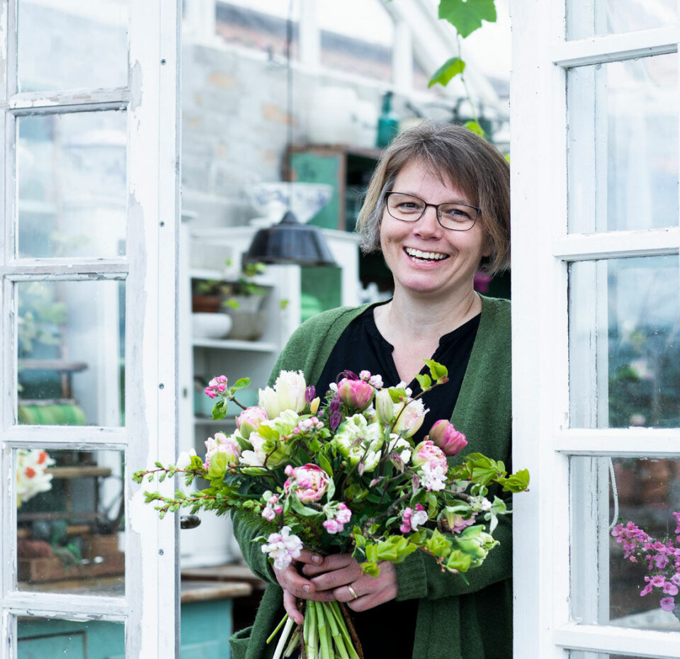 Jane Wittrock tulipaner