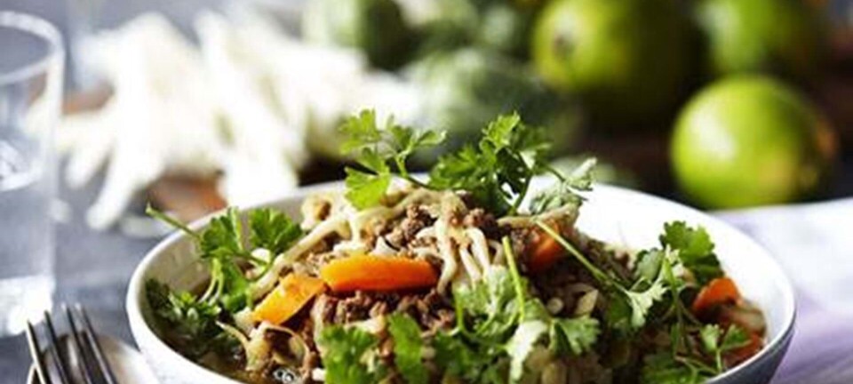 Nudler med kål og hakket kød