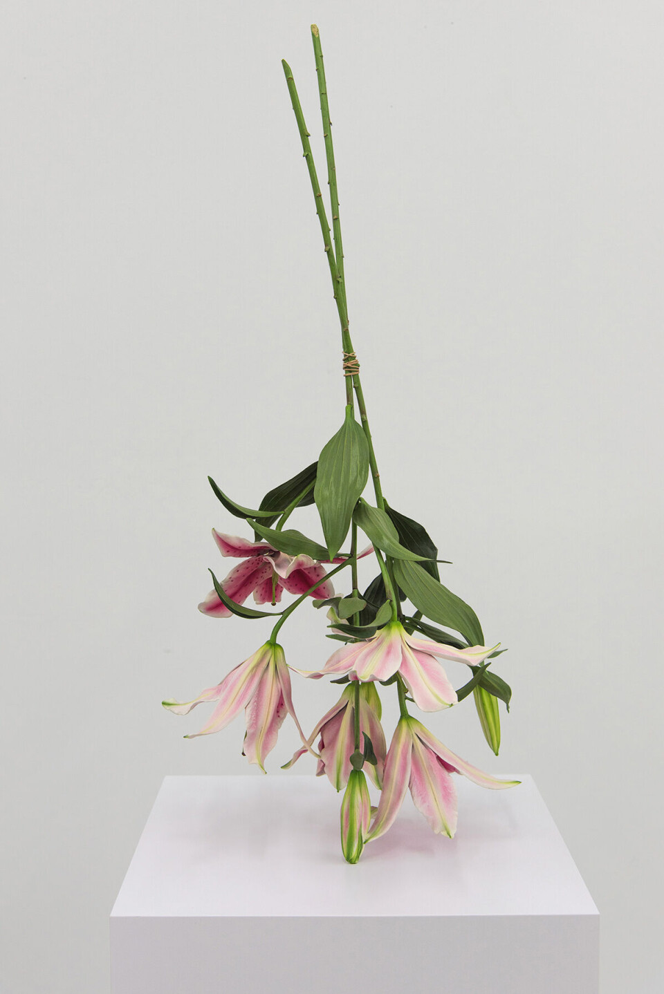 Billede 4 - Arrangement af Tony Matelli (2013), Arken